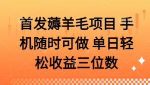 薅羊毛项目 手机随时可做 单日轻松收益三位数-糊涂帮