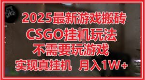 2025最新游戏搬砖，CSGO挂G，不需要玩游戏，实现真挂G，月入1W+-糊涂帮