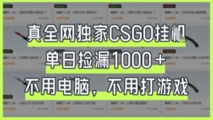 真全网独家CSGO挂G,单日捡漏1k+-糊涂帮