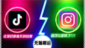 抖音无脑搬运，如果这项目都拿不到结果，你可以退网了-糊涂帮