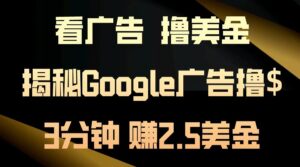 看广告，撸美金！3分钟赚2.5美金！日入200美金不是梦！揭秘Google广告…-糊涂帮