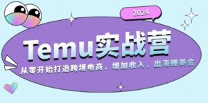 2024Temu实战营：从零开始打造跨境电商，增加收入，出海赚美金-糊涂帮