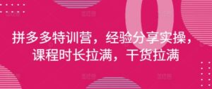拼多多特训营，经验分享实操，课程时长拉满，干货拉满(更新25年4月)-糊涂帮