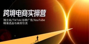 跨境电商实操营：独立站/TikTok/谷歌广告/YouTube，精准选品与高效引流-糊涂帮