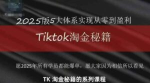 TikTok跨境2025淘金秘籍，​2025TikTok从0到盈利变现-糊涂帮