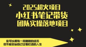 2025超火项目，副业最佳选择，小红书笔记带货团队实操落地项目，，轻松日入5张-糊涂帮