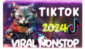 Tiktok东南亚小店运营，TK跨境小店教程让学员能快速掌握实用的运营技巧-糊涂帮