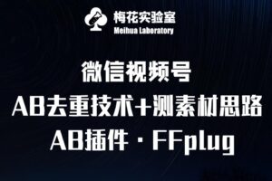 视频号连怼玩法-FFplug玩法AB插件使用+测素材教程-梅花实验室社群专享课-糊涂帮