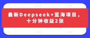 最新Deepseek+蓝海项目，十分钟收益2张-糊涂帮