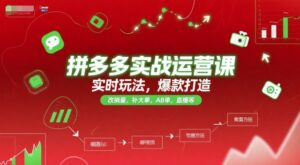 拼多多实战运营课，实时玩法，爆款打造，改销量，补大单，AB单，直播等（更新2025月）-糊涂帮