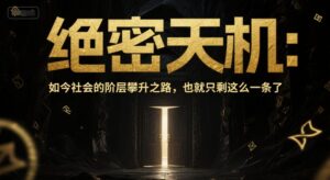 付费文章：绝密天机：如今社会的阶层攀升之路，也就只剩这么一条了-糊涂帮