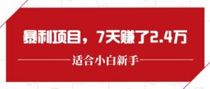 最新暴利项目，每单收益轻松在300以上，7天赚了2.4万-糊涂帮