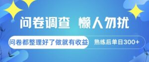 问卷调查，懒人勿扰，问卷都整理好了单价不等，做就有收益，熟练后单日3张-糊涂帮