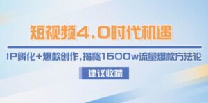 短视频4.0时代机遇：IP孵化+爆款创作，揭秘1500w流量爆款方法论-糊涂帮