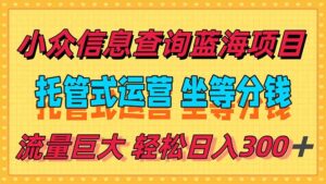 稳定日入300＋，小众信息查询蓝海项目，全程懒人式托管，解放你的时间-糊涂帮