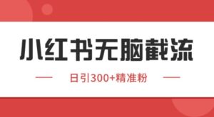 小红书截流同行客源，独家野路子获客玩法 日引200+暴力获客-糊涂帮