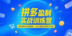 拼多多盈利实战训练营，强付费玩法深度解析，2025运营技巧合集-更新6月-糊涂帮