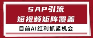 小红书某音sap赛道引流获客 自热矩阵日引200+-糊涂帮