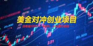 美金对冲创业项目，日收益 1000 – 4000，小众暴力项目-糊涂帮