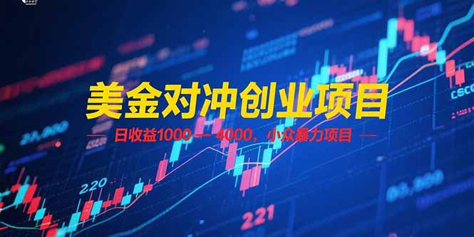 美金对冲创业项目，日收益 1000 – 4000，小众暴力项目-糊涂帮