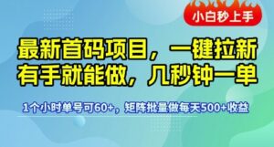 最新首码项目，一键拉新有手就能做，几秒钟一单，1个小时单号可60+，矩阵批量做每天5张-糊涂帮