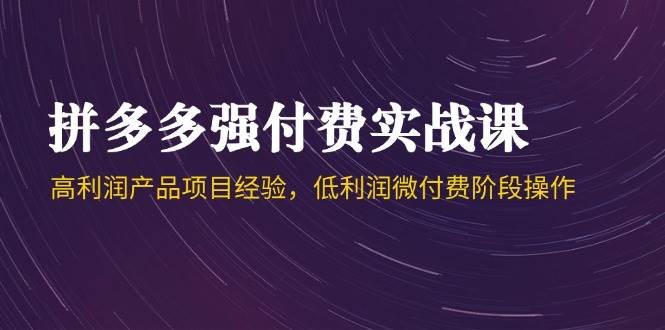 拼多多强付费实战课-44期，高利润产品项目经验，低利润微付费阶段操作-糊涂帮