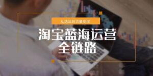 淘宝蓝海运营全链路，从选品到流量变现，小类目突围完整方案-糊涂帮
