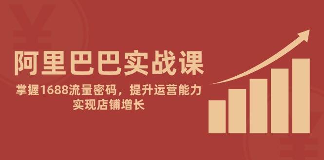 阿里巴巴实战课：掌握1688流量密码，提升运营能力，实现店铺增长-糊涂帮