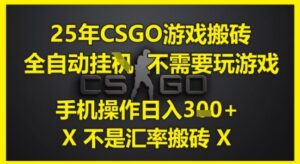 25年CSGO游戏搬砖，全自动运行，不需要玩游戏，手机操作日入3张(不是汇率搬砖)-糊涂帮