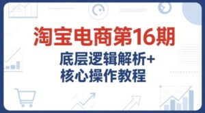 淘宝电商第16期，底层逻辑解析+核心操作教程，运营、推广提升能力的必学课程+配套资料-糊涂帮