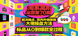 淘系高阶运营第70期，解决难点、改内外销策略，大佬操盘方法，标品从0到爆款全过程-糊涂帮