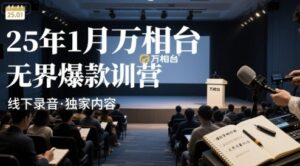 25年1月万相台无界爆款特训营线下录音-糊涂帮