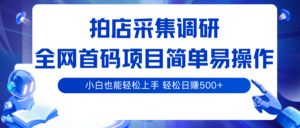 拍店采集调研，全网首码项目，简单易操作， 小白也能轻松上手，轻松日赚500+-糊涂帮