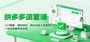 拼多多运营课,入门搭建、进阶技巧、新玩法及工具使用,一站式掌握多多运营-糊涂帮