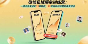 微信私域爆单训练营：一场公开课成交33单案例，99元自动训练营批量变现术-糊涂帮