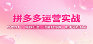 拼多多运营实战,付费推广、爆款打造、流量起爆等,新手轻松起店-糊涂帮