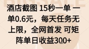 酒店截图15秒一单，一单0.6米，每天任务无上限，全网首发可矩阵单日收益3张-糊涂帮