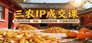 三农IP成交课：从定位到流量、内容，再到拍摄剪辑，打造能变现的IP-糊涂帮