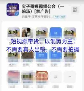 宝子哥头部团队短视频带货，以混剪为主，不需要真人出镜，不需要拍摄【更新9月】-糊涂帮-专注创业项目分享_资源整合-糊涂帮