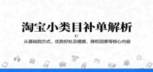 淘宝小类目补单解析：从基础到方式，优势好处及稽查、降权因素等核心内容-糊涂帮