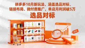 （16364期）拼多多10月新玩法，涵盖选品对标、链接布局、微付费推广，单店月利润破5万-糊涂帮-专注创业项目分享_资源整合-糊涂帮