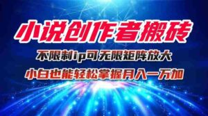 （16209期）小说创作者搬砖玩法，不限制IP简单无脑 可矩阵无限放大小白也能实现轻…-糊涂帮