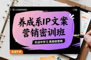 养成系IP文案营销密训班，实战中学习真高级营销-中创网-专注创业项目分享_资源整合-糊涂帮