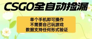 （16207期）自动挂机捡漏，不用自己挂机不用玩游戏，一个手机即可操作-糊涂帮