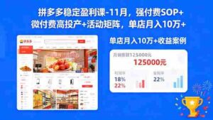 拼多多稳定盈利课-11月，强付费SOP+微付费高投产+活动矩阵，单店月入10w+-糊涂帮-专注创业项目分享_资源整合-糊涂帮
