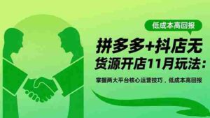 拼多多+抖店无货源开店11月玩法：掌握两大平台核心运营技巧，低成本高回报-糊涂帮-专注创业项目分享_资源整合-糊涂帮