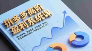 拼多多高阶盈利系统课，强付费策略、活动爆破、首页推荐，实现店铺稳定盈利（更新12月）-糊涂帮-专注创业项目分享_资源整合-糊涂帮