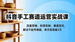 抖音手工赛道运营实战课，流量思维、标签机制、垂直定位，解决不起号难题，单月变现破3万-糊涂帮-专注创业项目分享_资源整合-糊涂帮