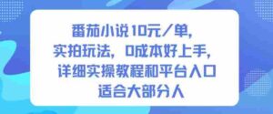 番茄小说10米每单，实拍玩法，0成本好上手，详细实操教程和平台入口适合大部分人-糊涂帮-专注创业项目分享_资源整合-糊涂帮