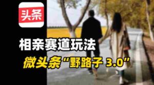 微头条“野路子3.0”相亲赛道玩法，搬砖式操作单号稳定3张-糊涂帮-专注创业项目分享_资源整合-糊涂帮